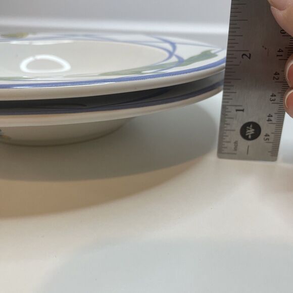 2 Lynn Chase 1995 Jardin Des Tulipes Soup Bowl, Made in France 8 3/4" W 1 1/2" H - Picture 13 of 13